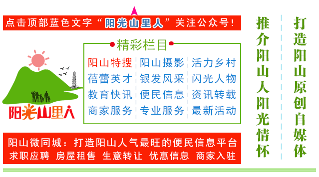 海宁大元运输有限责任公司_发票运输 公司_给个运输公司起名