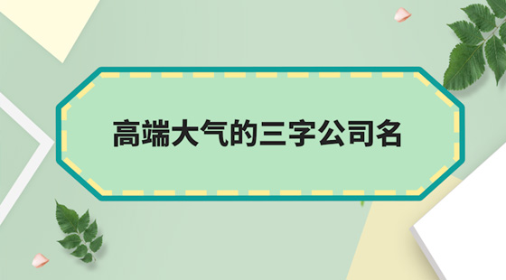 高端大气的三字公司名