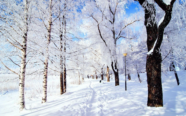 冬天的雪微信名_冬天的雪微信名