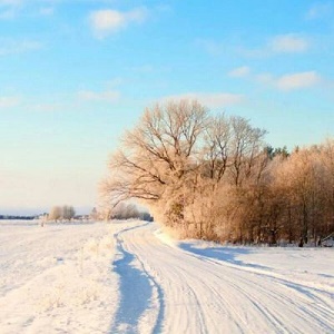 冬天的雪微信名_冬天的雪微信名