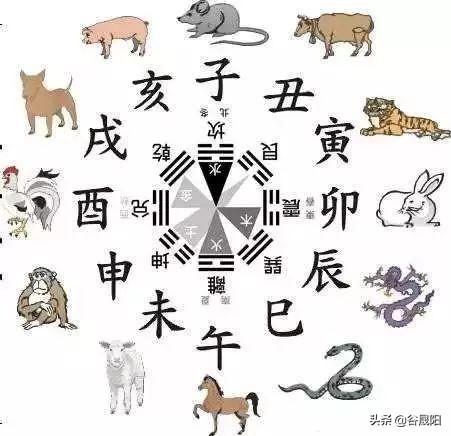 属羊的人起名宜用字_属羊的人起名宜用字