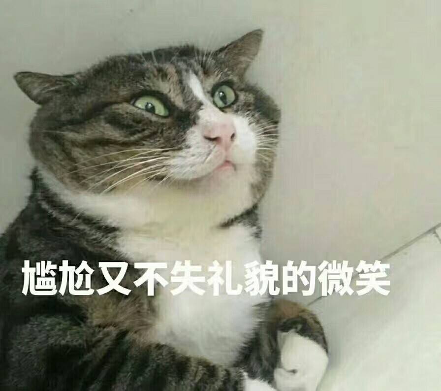 不要给宠物起名字