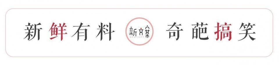 不要给宠物起名字