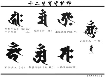 属兔取名不宜用字_属兔取名不宜用字