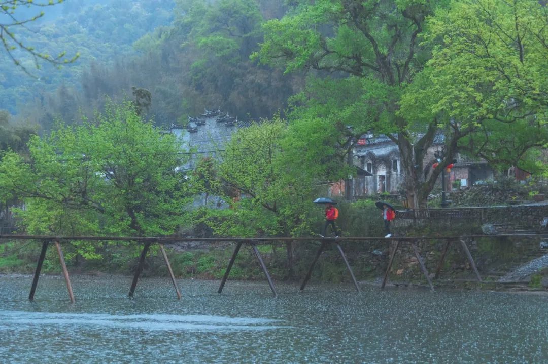 江南水乡古韵的网名